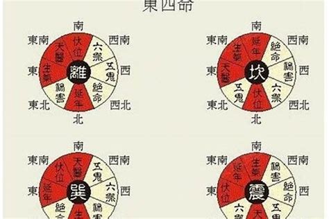 震命|震宫东四命是什么